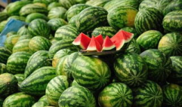 南宁吃瓜爆料事件真相,揭秘背后真相与网络舆论的反思