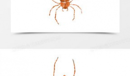 动漫蜘蛛,穿梭时空的神秘织网者